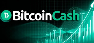 مدیریت بیت کوین کش BCH با لجر لایو