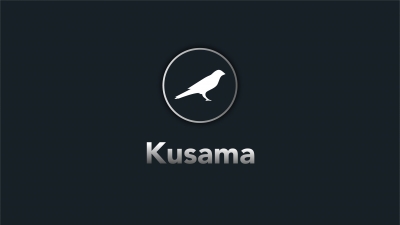 آموزش اتصال لجر به ارز Kusama