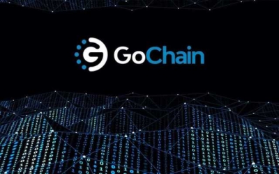 آموزش اتصال لجر به ارز Go Chain