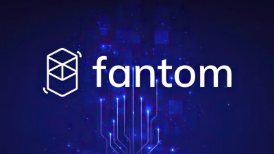 آموزش اتصال لجر به ارز فانتوم Fantom