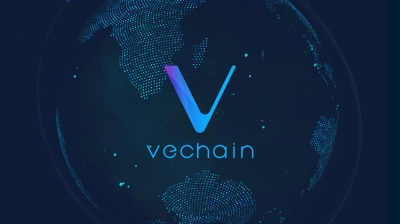 وی چین Vechain در لجر