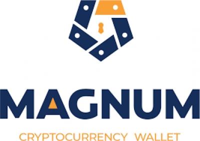 چگونه لجر ولت را با استفاده از مگنوم magnum مدیریت کنیم؟