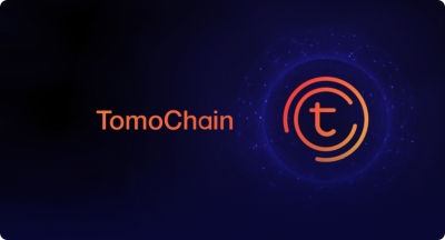 امکان پشتیبانی لجر نانو S از توموچین (TomoChain) فراهم شد