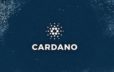 کاردانو Cardano در لجر